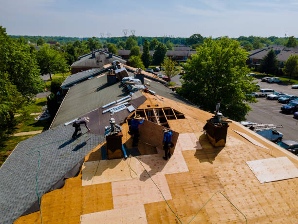 Best Flat Roof Repair Services  in Brodhead, WI